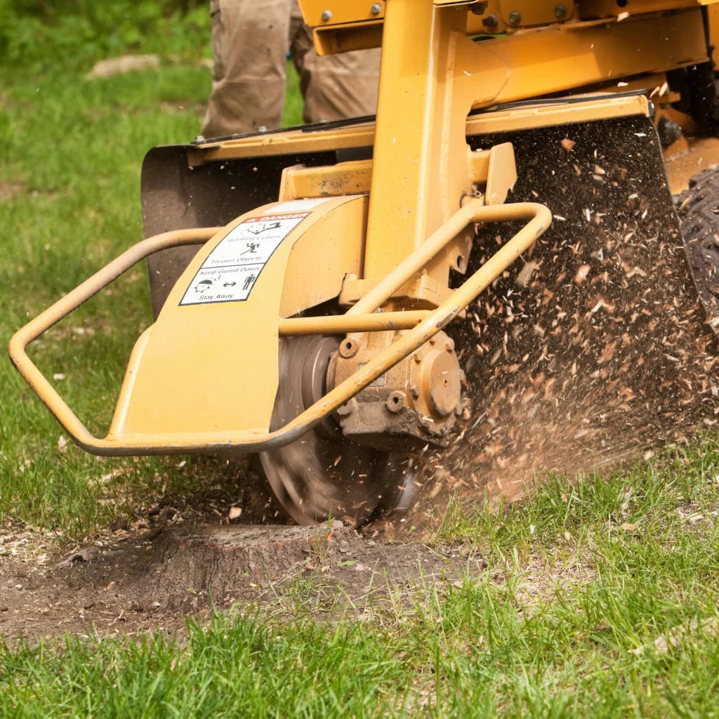 Stump grinder grinding.